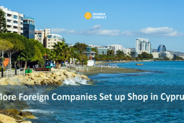 More foreign companies set up shop in Cyprus