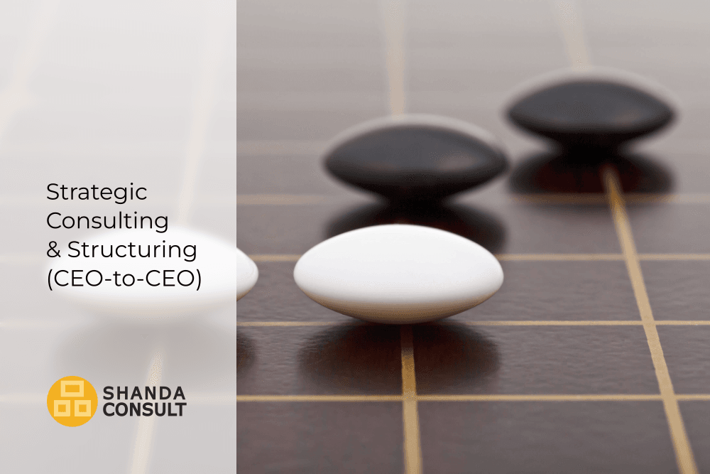 Close-up of Go board stones on a wooden grid representing strategic consulting and corporate structuring services for CEOs.